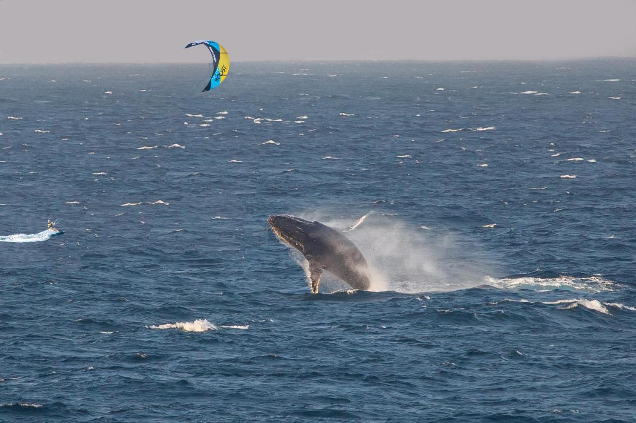 Kitesurf Tofo House - 1 Minute Walk From Beach And Center Exterior foto